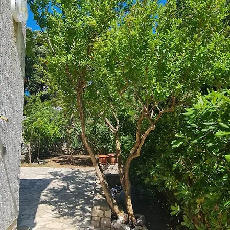 Appartement Bevanda